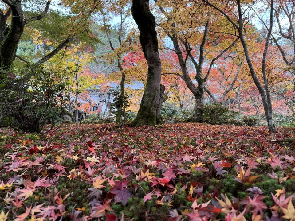 Kyoto, Japan · 3