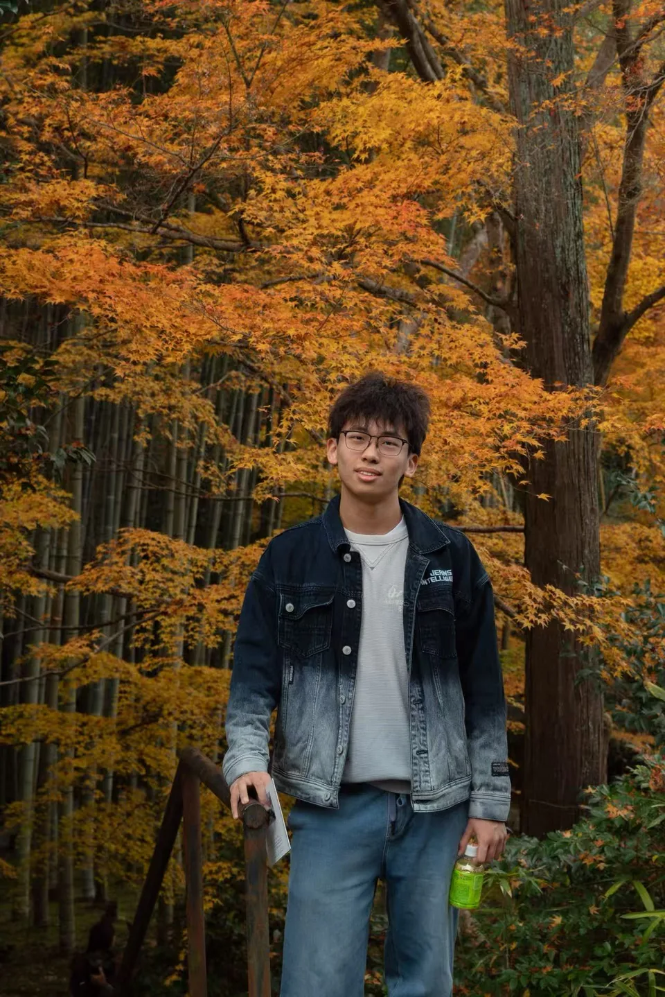 A portrait among autumn maple leaves in Kyoto