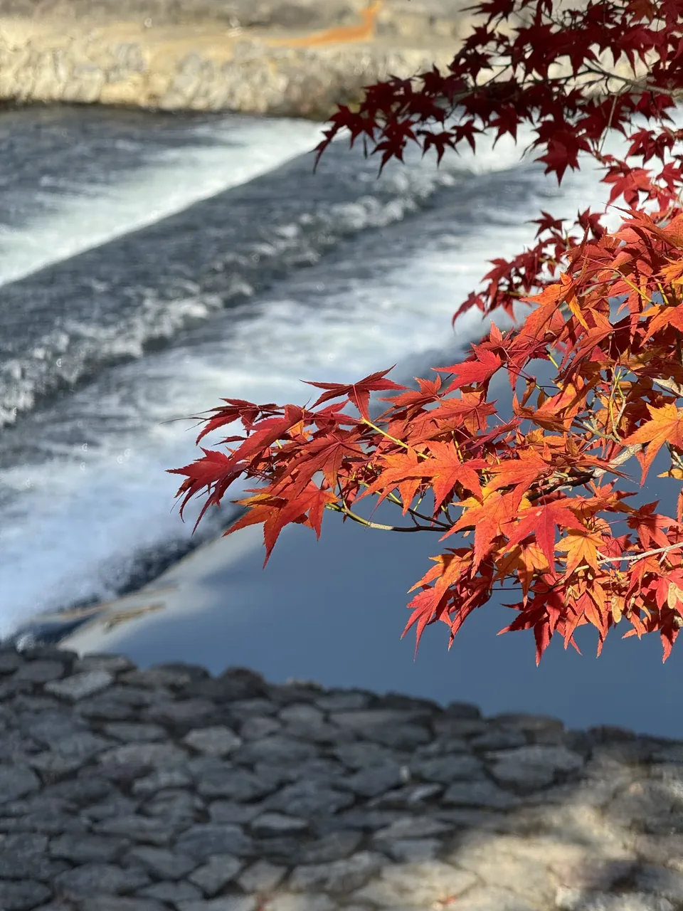 Kyoto, Japan · 7