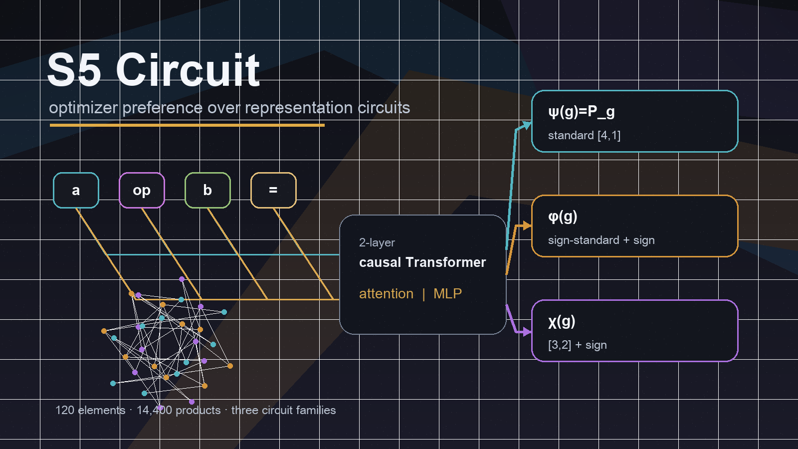 研究S5对称群的circuit